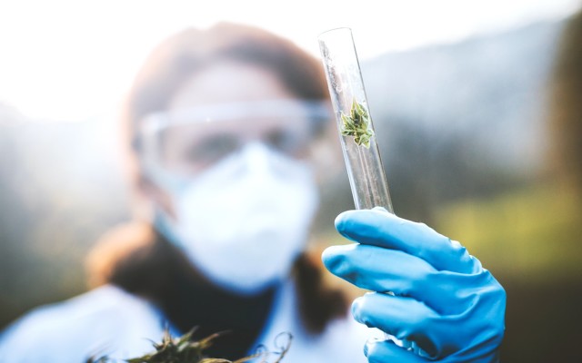 Cover Image for AusCann Group finalises purchase of medical cannabis R&D facility in Perth
