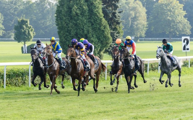 Cover Image for BetMakers signs wagering technology deals with Waterhouse Group