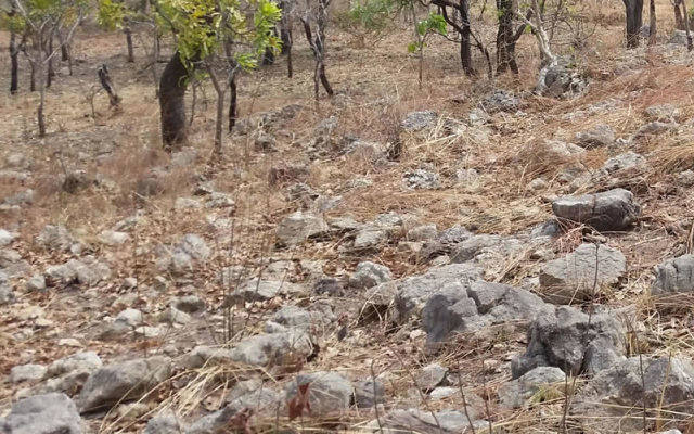 Cover Image for Birimian releases maiden reserve, updated PFS at high-grade Goulamina lithium project