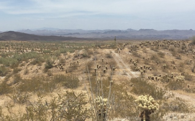 Cover Image for Broken Hill Prospecting acquires large historic rare earth project in Arizona