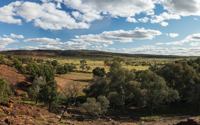 Cover Image for Corazon Mining makes major new copper trend find in New South Wales