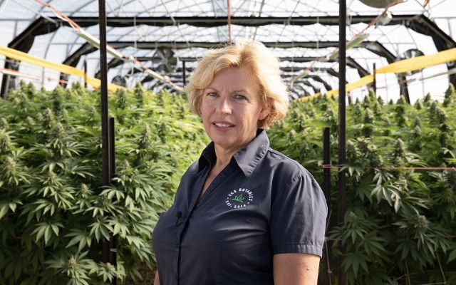 Cover Image for Ongoing cannabis product demand drives more revenue growth for ECS Botanics
