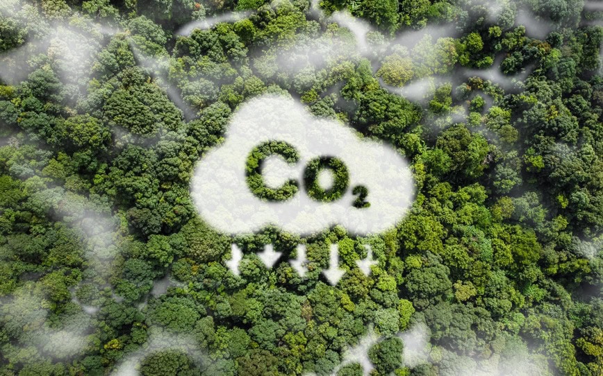 Cover Image for Pilot Energy receives crucial government nod and investor backing for CO2 storage project