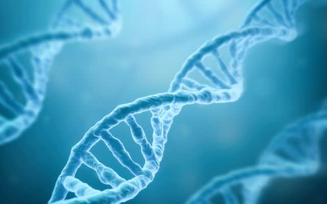 Cover Image for Prescient Therapeutics to present OmniCAR and CellPryme abstracts at international gene therapy conference